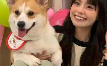 “www.17”线路别看了，头脑风暴才是生活的真正乐趣！