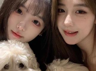 51吃瓜今日观看实录——收获的不仅是瓜，还有满满的傻眼。
