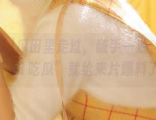 瓜田里走过，随手一划，网页上的“51吃瓜”就给来片爆料了！