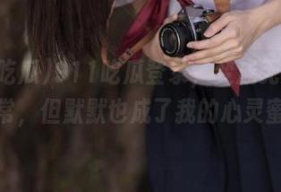 911吃瓜登录，变成无意义的日常，但默默也成了我的心灵蜜糖
