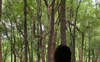 有没有人跟我一样，观看黑料吃瓜网的时候手心冒汗呢……